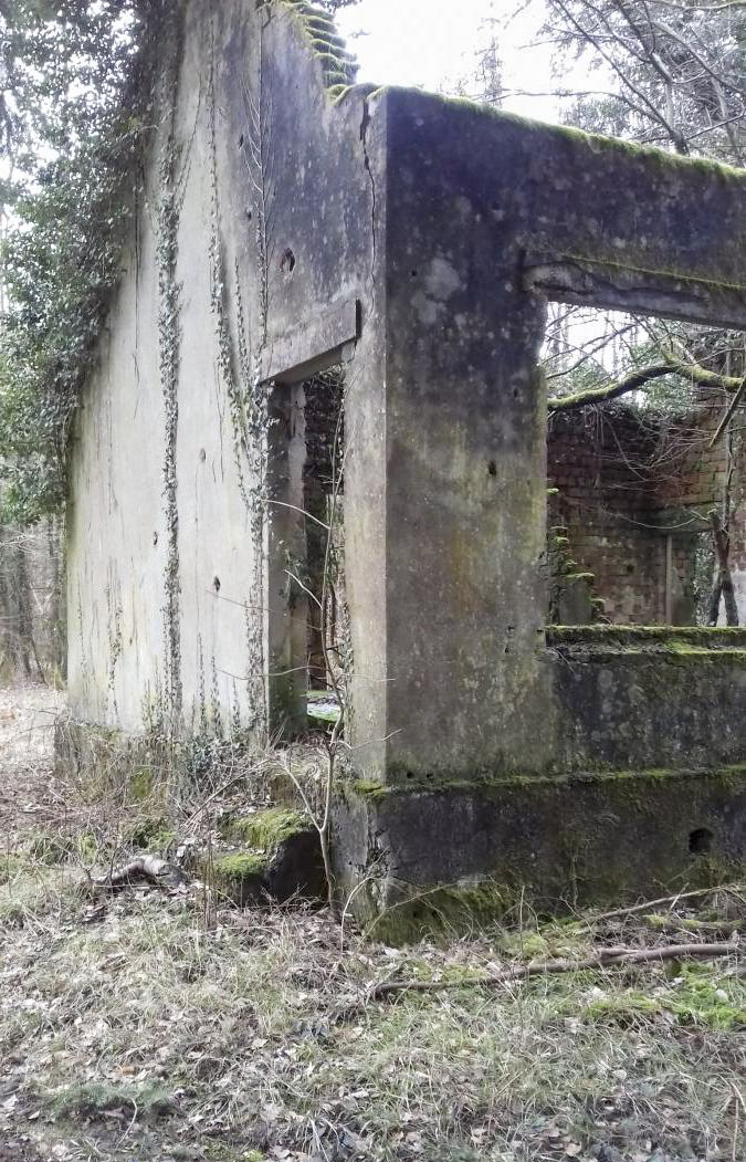 Ligne Maginot - NEUBACH  (AVANT POSTE) - (Casernement) - L'etat - etienne