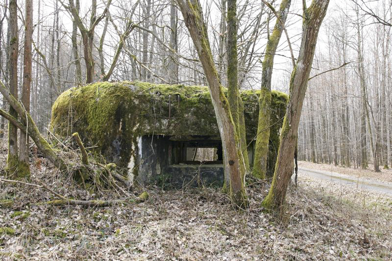 Ligne Maginot - NEUBACH 1 (AVANT POSTE) - (Blockhaus pour canon) -  - GRUBER Franck