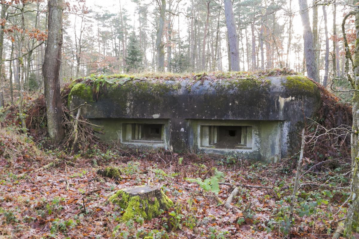 Ligne Maginot - PETIT-HOHEKIRKEL 3 -  - Anonyme