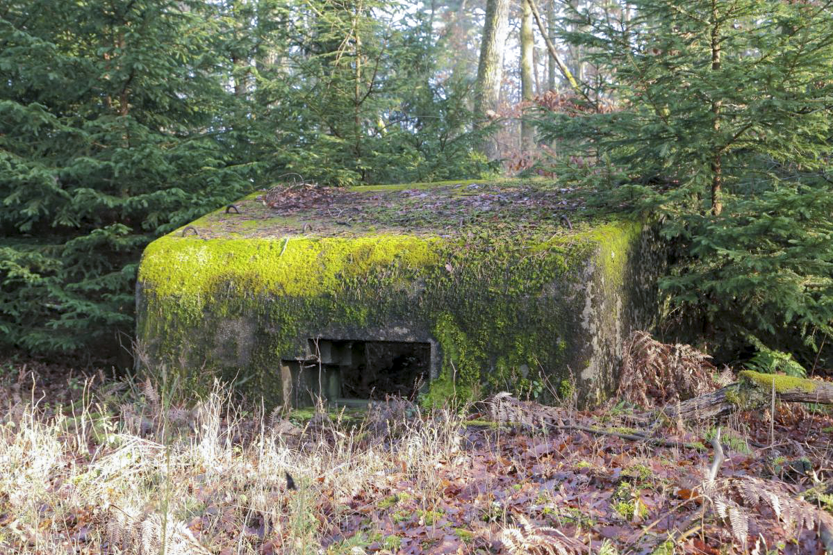 Ligne Maginot - PETIT HOHEKIRKEL 2 (Blockhaus pour canon) -  - Anonyme