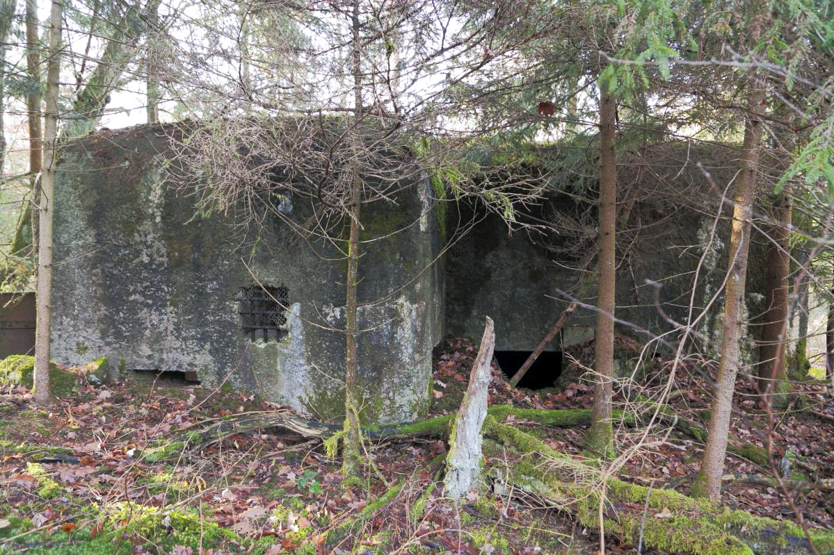 Ligne Maginot - PETIT HOHEKIRKEL 1 - (Blockhaus pour canon) -  - Anonyme