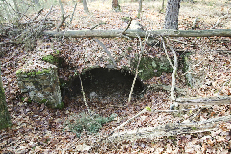 Ligne Maginot - PETIT HOHEKIRKEL 8 (Abri) -  - Anonyme