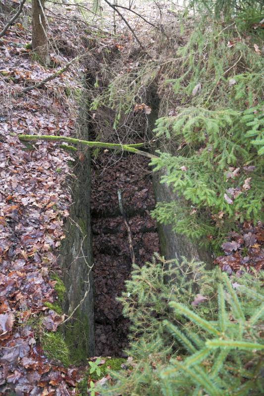 Ligne Maginot - PETIT HOHEKIRKEL 5 - (Blockhaus pour arme infanterie) -  - Anonyme