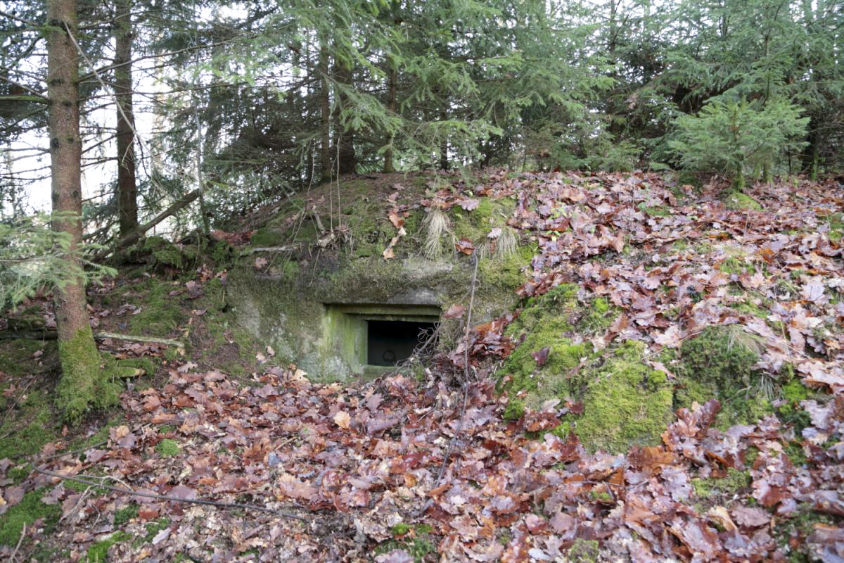 Ligne Maginot - PETIT HOHEKIRKEL 6 - (Blockhaus pour arme infanterie) -  - Anonyme