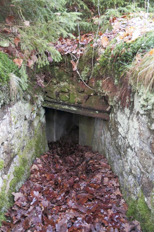 Ligne Maginot - PETIT HOHEKIRKEL 6 - (Blockhaus pour arme infanterie) -  - Anonyme