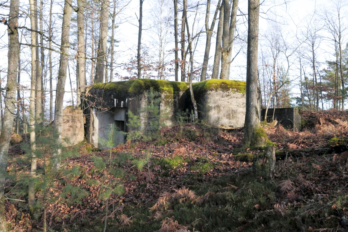 Ligne Maginot - PETIT HOHEKIRKEL 7 - (Blockhaus pour canon) -  - Anonyme