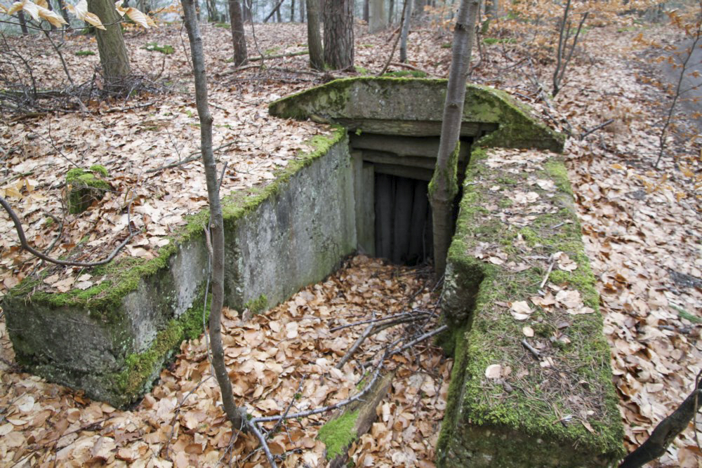 Ligne Maginot - PFAFFENBERG SUD - (Position d'artillerie préparée) - Abri à 2 entrées - Alain Perouffe