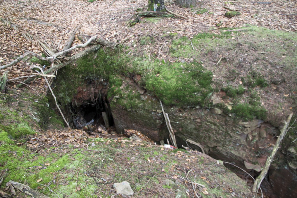 Ligne Maginot - PFAFFENBERG SUD - (Position d'artillerie préparée) - Abri à 2 entrées - Alain Perouffe