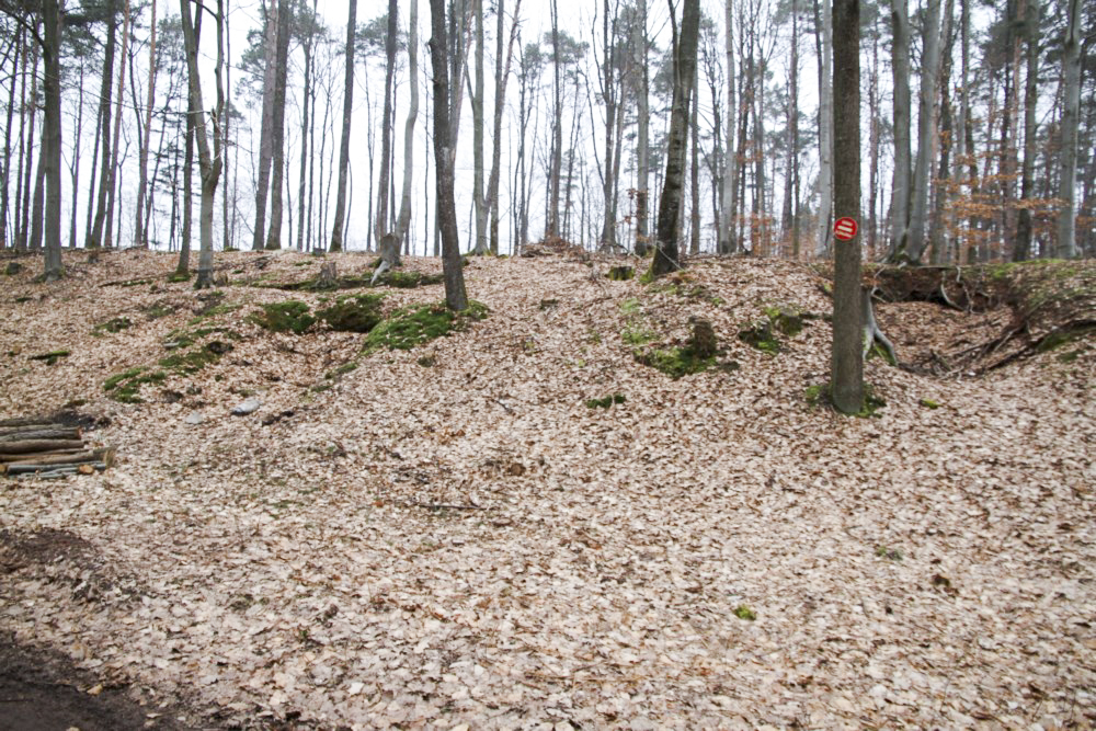 Ligne Maginot - PFAFFENBERG SUD - (Position d'artillerie préparée) - Les emplacements des pièces - Alain Perouffe