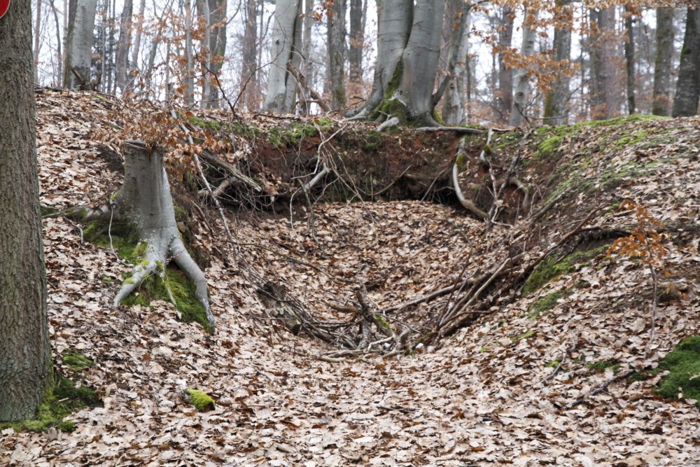 Ligne Maginot - PFAFFENBERG SUD - (Position d'artillerie préparée) - Les emplacements des pièces - Alain Perouffe