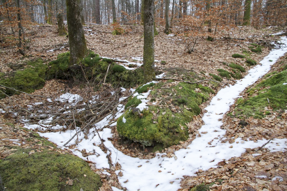 Ligne Maginot - PFAFFENBERG SUD - (Position d'artillerie préparée) - A proximité, de nombreuses traces de cagnas et tranchées - Alain Perouffe
