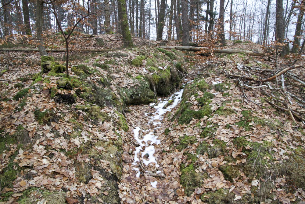 Ligne Maginot - PFAFFENBERG SUD - (Position d'artillerie préparée) - A proximité, de nombreuses traces de cagnas et tranchées - Alain Perouffe