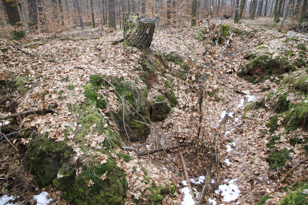 Ligne Maginot - PFAFFENBERG SUD - (Position d'artillerie préparée) - A proximité, de nombreuses traces de cagnas et tranchées - Alain Perouffe