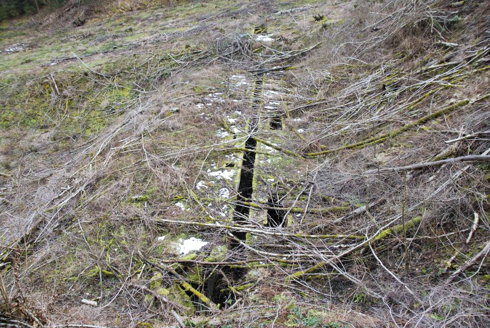 Ligne Maginot - RAMSTEIN Ouest (Stand de tir) - Stand orienté pour des tirs depuis la casemate de Ramstein Ouest - JFK BITCHE