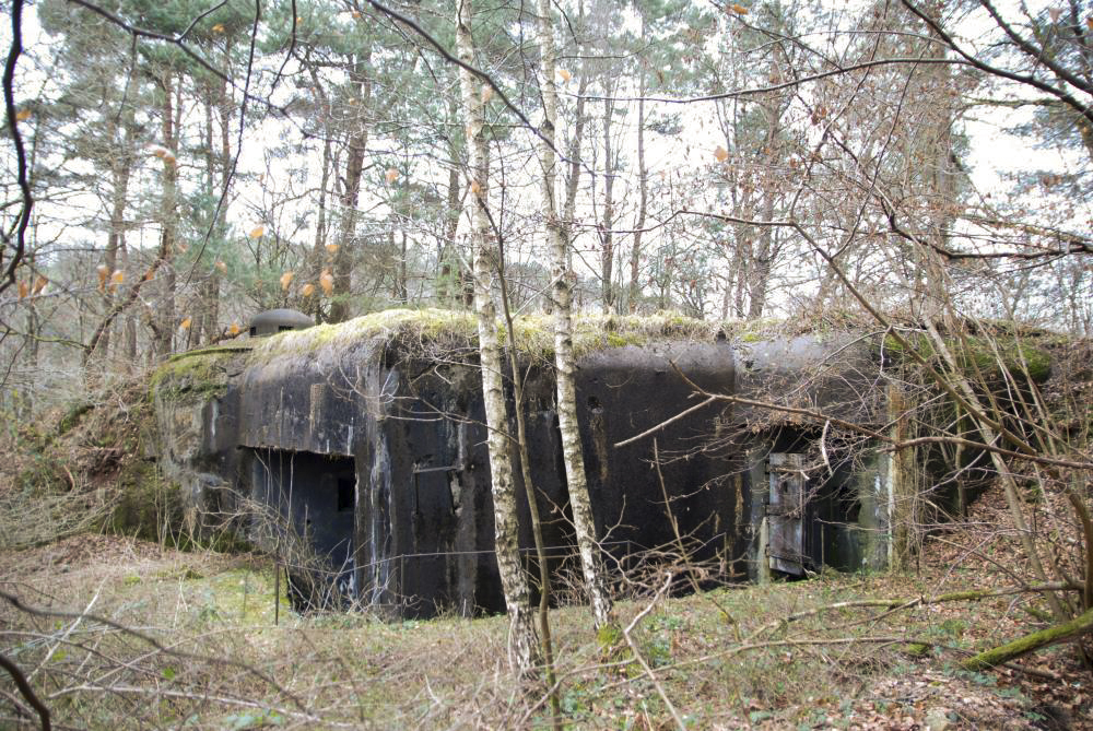 Ligne Maginot - RAMSTEIN OUEST - (Casemate d'infanterie) -  - JFK BITCHE