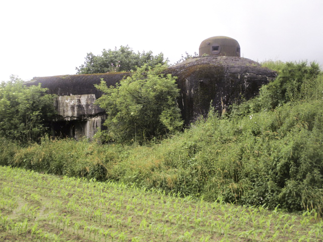 Ligne Maginot - MAULDE SUD OUEST DROITE - (Casemate d'infanterie - Simple) -  - Smardz Félix