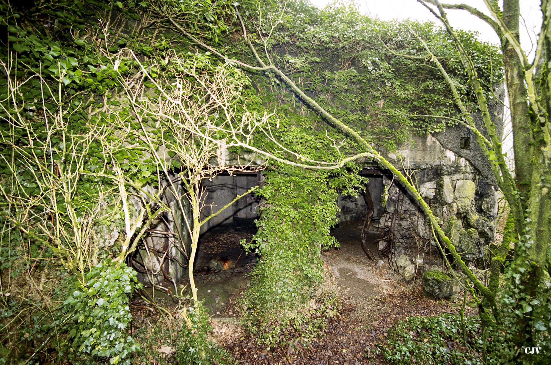 Ligne Maginot - FORT DE MAULDE EST - (Casemate d'artillerie) -  - Lia VERMEULEN