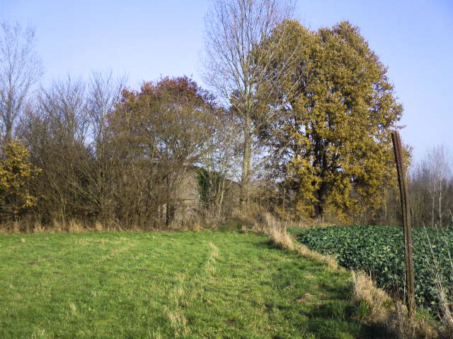 Ligne Maginot - PETIT MARAIS - (Casemate d'infanterie - Double) - Blockhaus, situé dans un pré, dans son environnement. - Smardz Félix