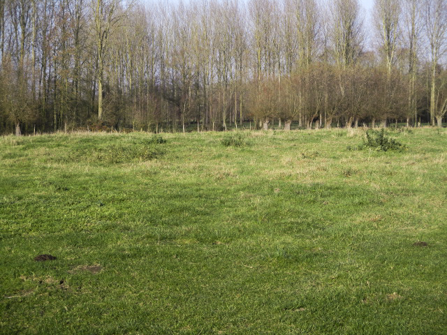 Ligne Maginot - CHARBON - (Blockhaus lourd type STG / STG-FCR - Double) - Emplacement de la base du blockhaus situé dans un pré en bordure de la D 368 - Rue de Bruille. - Smardz Félix