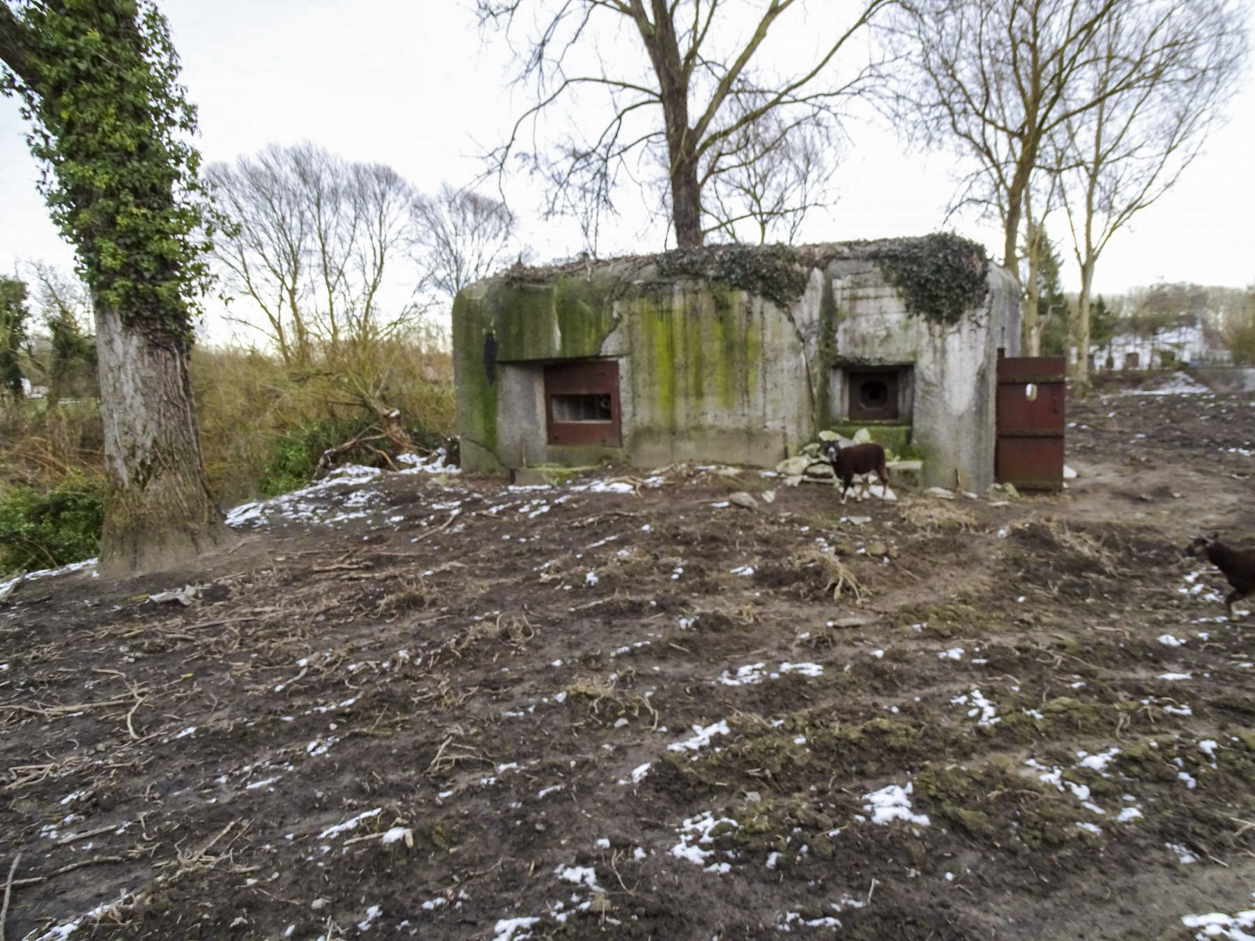 Ligne Maginot - ECLUSE DE RODIGNIES - (Blockhaus pour arme infanterie) - Les deux créneaux tirant vers Flines lez Mortagne - Hubert DELPLACE