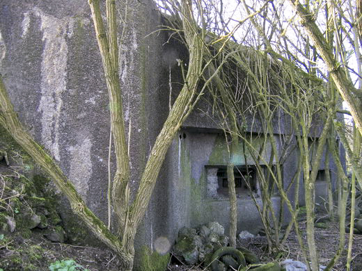Ligne Maginot - LONG BUHOT - (Casemate d'infanterie - Simple) -  - Google Streetview