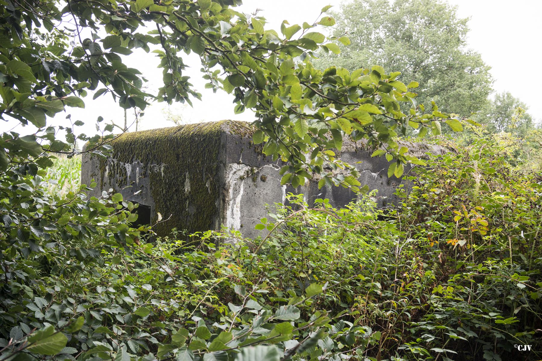 Ligne Maginot - B379 - CARRIERE (PDS) - (Abri actif) -  - Lia VERMEULEN