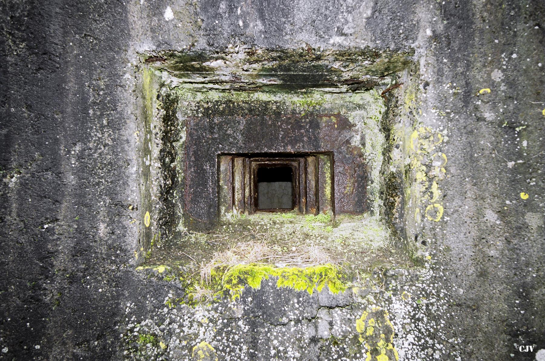 Ligne Maginot - B378 - BOIS MONTOIR (PDS) - (Abri actif) - Trémie type Condé - Caspar Vermeulen
