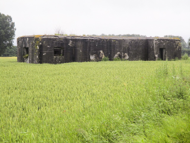 Ligne Maginot - B378 - BOIS MONTOIR (PDS) - (Abri actif) - Vue coté gauche - Smardz Félix
