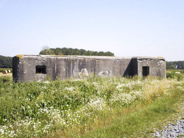 Ligne Maginot - B378 - BOIS MONTOIR (PDS) - (Abri actif) - Vue coté gauche - Sébastien Bonnet
