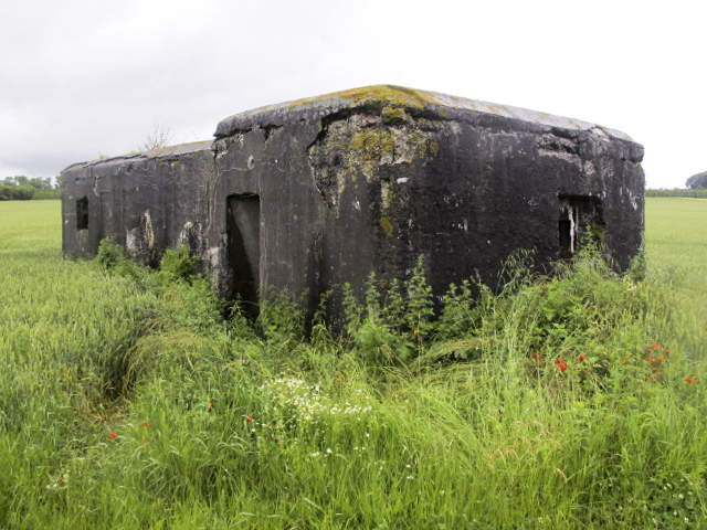 Ligne Maginot - B378 - BOIS MONTOIR (PDS) - (Abri actif) - L'entrée et le créneau arrière - Smardz Félix