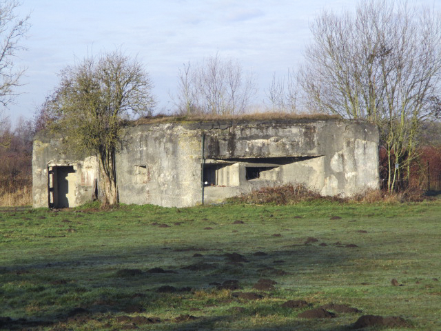 Ligne Maginot - RUBIS - (Blockhaus lourd type STG / STG-FCR - Double) - Situé dans un pré clôturé - Visible du Chemin Piré. - Smardz Félix