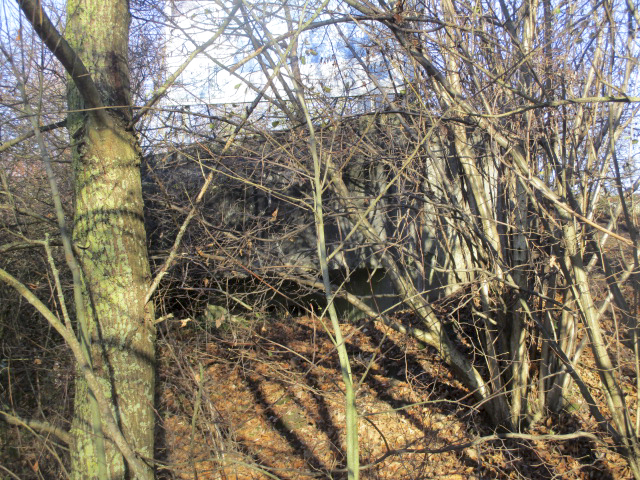 Ligne Maginot - VICQ EST - (Blockhaus lourd type STG / STG-FCR - Double) - Blockhaus visible de la D50. - Smardz Félix