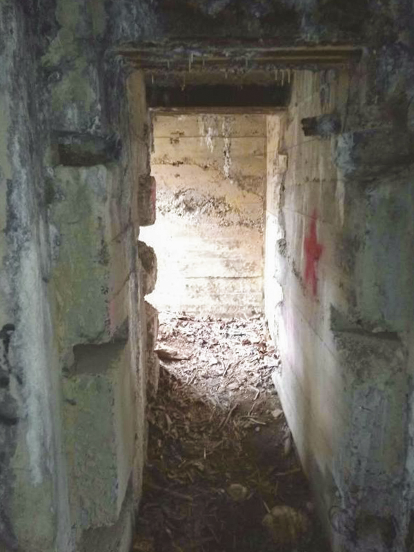 Ligne Maginot - BEGONIA - (Blockhaus lourd type STG / STG-FCR - Double) -  - denismdb