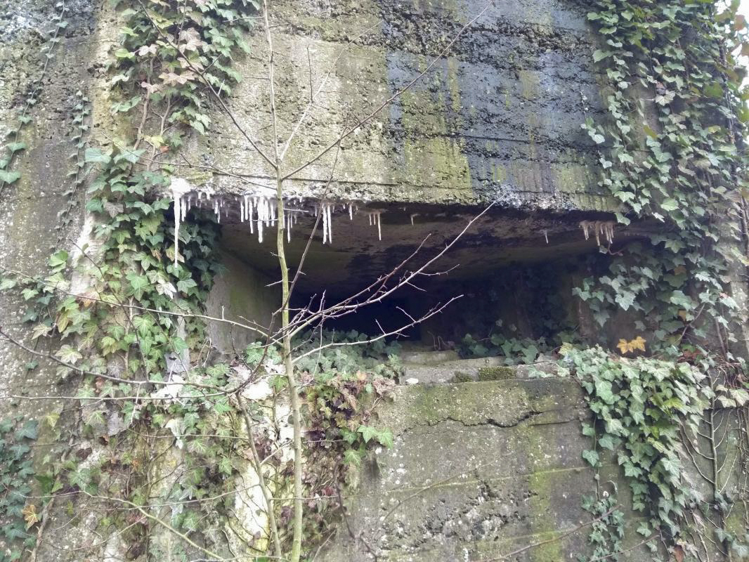 Ligne Maginot - BEGONIA - (Blockhaus lourd type STG / STG-FCR - Double) - Créneau d'observation - denismdb