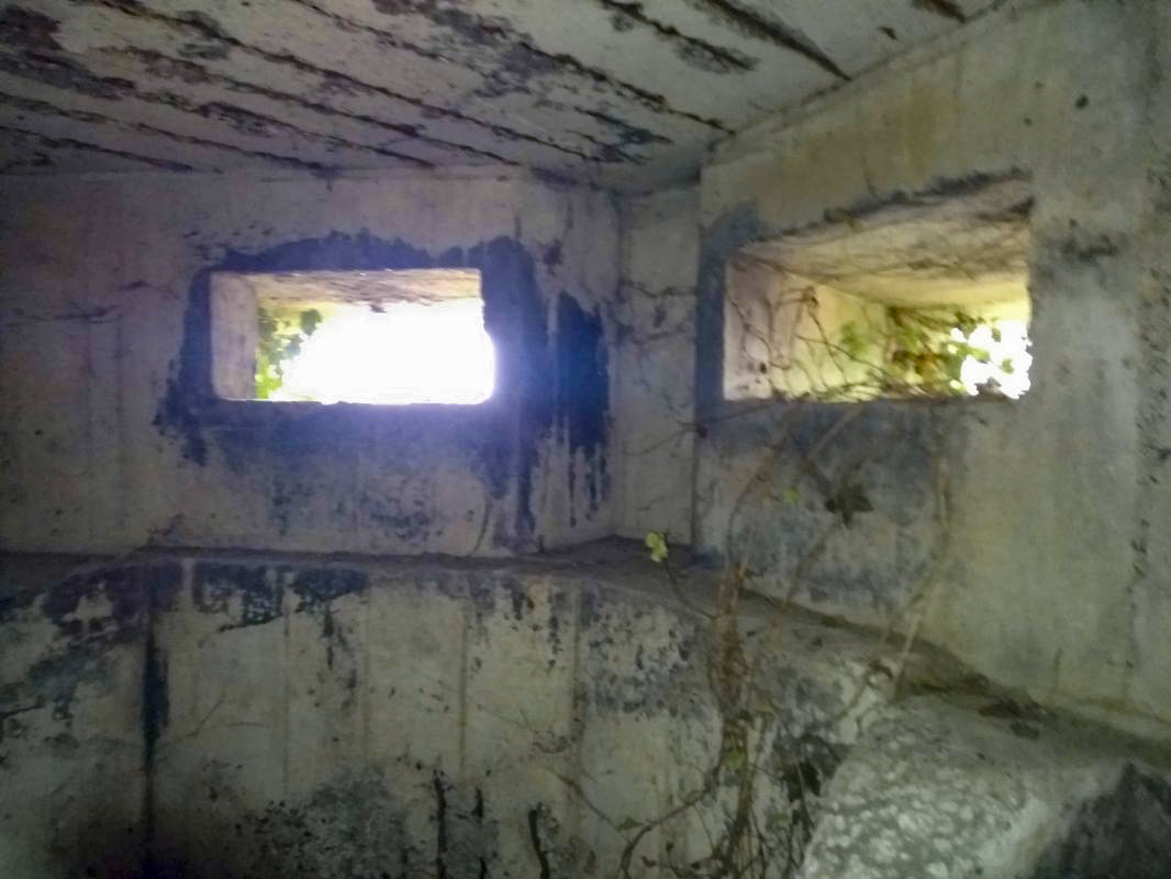 Ligne Maginot - BEGONIA - (Blockhaus lourd type STG / STG-FCR - Double) - Les créneaux d'observation - denismdb
