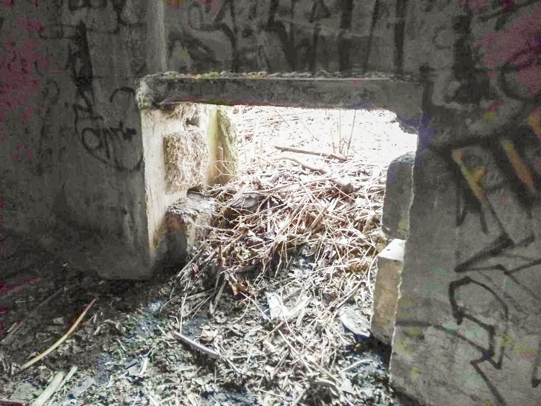 Ligne Maginot - BEGONIA - (Blockhaus lourd type STG / STG-FCR - Double) - Entrée materiel - denismdb