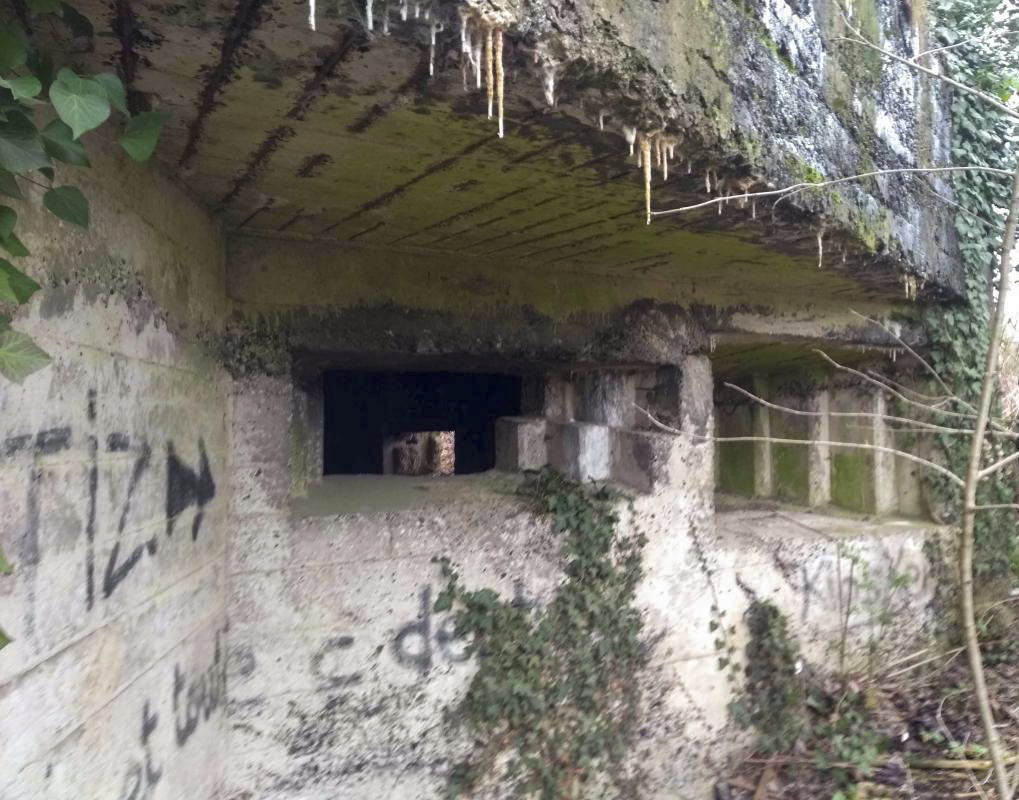 Ligne Maginot - BEGONIA - (Blockhaus lourd type STG / STG-FCR - Double) -  - denismdb