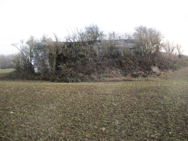 Ligne Maginot - A46 - GLAIEUL - (Blockhaus lourd type STG / STG-FCR - Double) - Blockhaus situé dans son environnement. - Smardz Félix