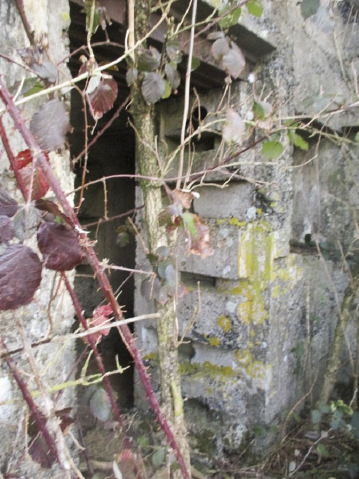 Ligne Maginot - A46 - GLAIEUL - (Blockhaus lourd type STG / STG-FCR - Double) - Entrée du blockhaus. - Smardz Félix