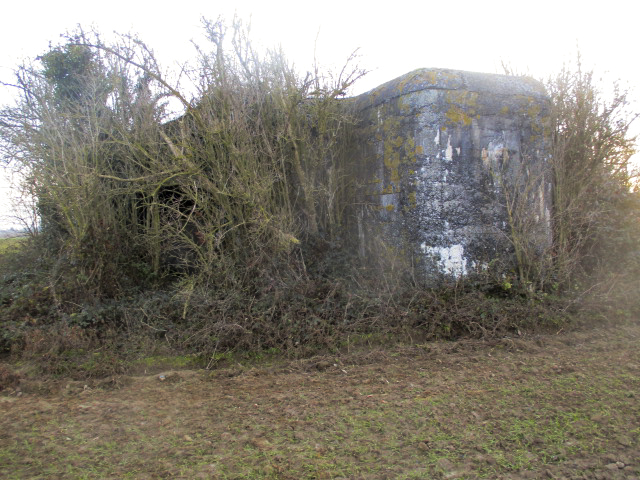 Ligne Maginot - A46 - GLAIEUL - (Blockhaus lourd type STG / STG-FCR - Double) -  - Smardz Félix