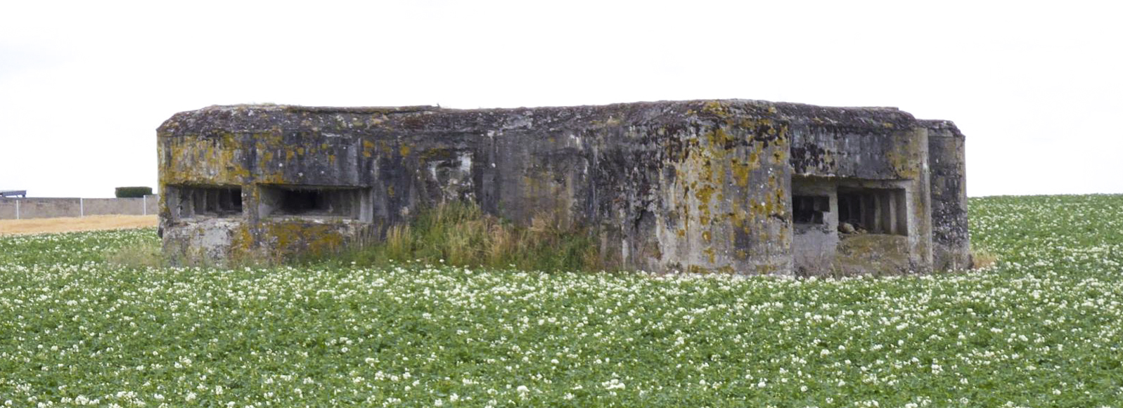 Ligne Maginot - A49 - GLYCINE - (Blockhaus lourd type STG / STG-FCR - Double) - Pris depuis le barrage de route des Godelins - François VILLARS