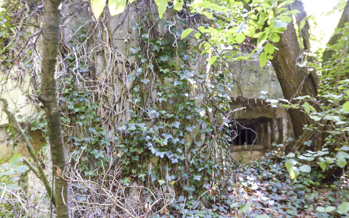 Ligne Maginot - A51 - CHAPELLE DE SAULTAIN - (Blockhaus lourd type STG / STG-FCR - Double) -  - François VILLARS