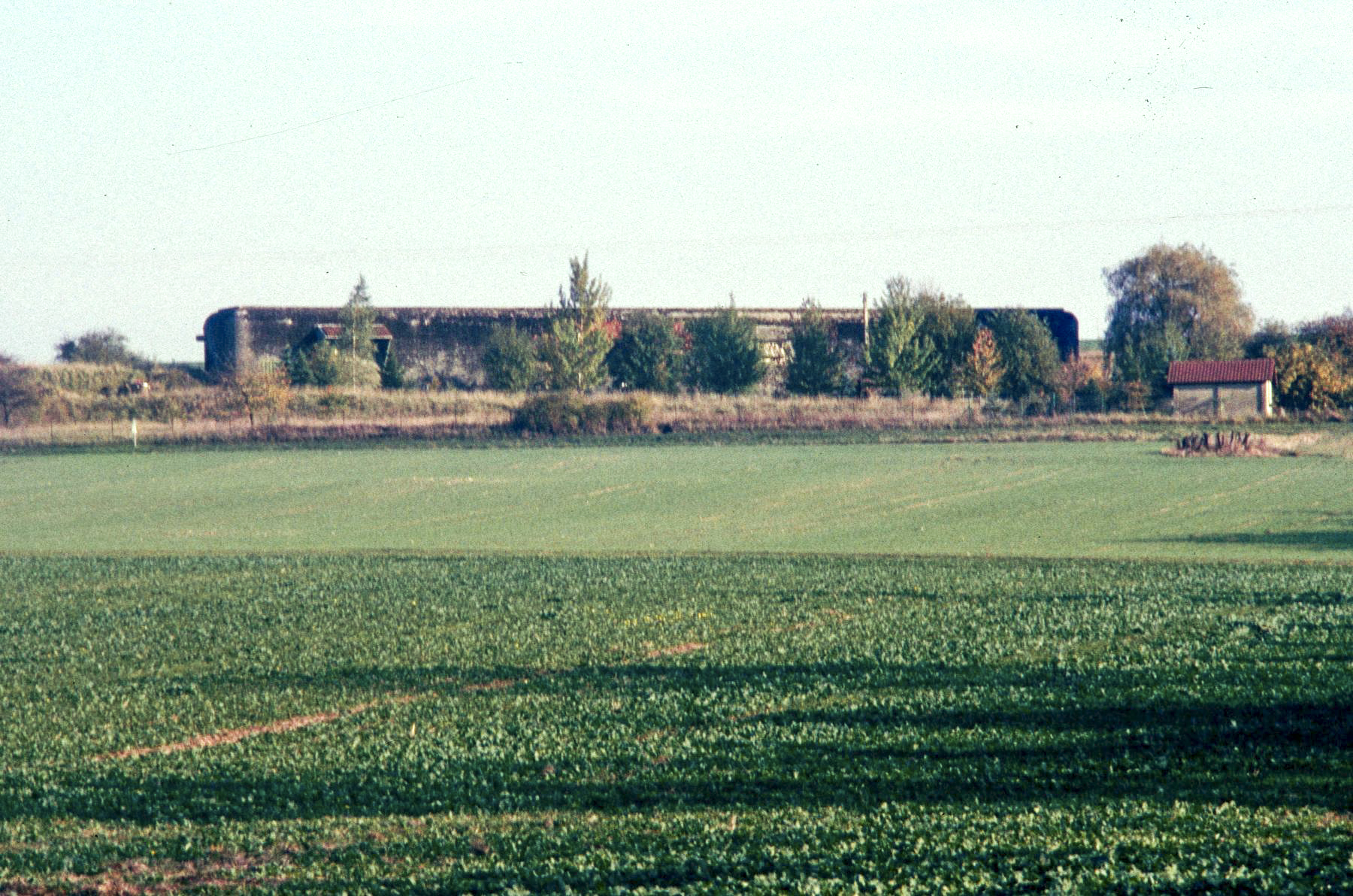 Ligne Maginot - BETTELAINVILLE - (Infrastructures électriques) - Vue d'ensemble du poste en 1996. - MANSUY Michel
