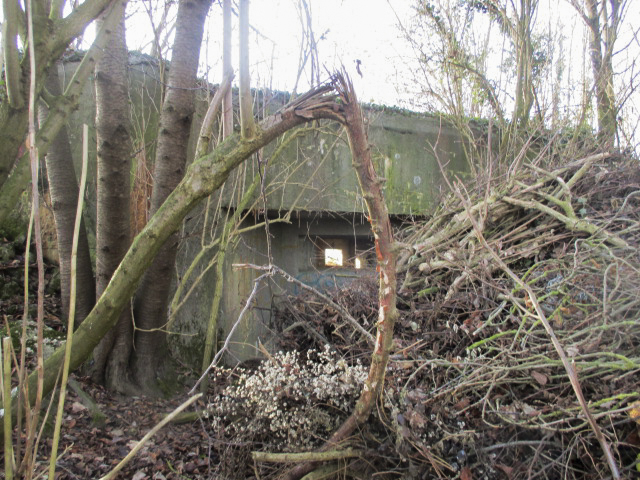 Ligne Maginot - A53 - CEDRE - (Blockhaus lourd type STG / STG-FCR - Double) -  - Smardz Félix