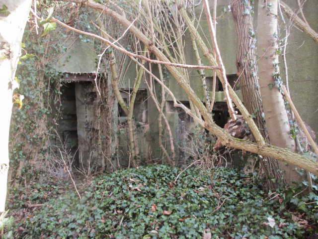 Ligne Maginot - A53 - CEDRE - (Blockhaus lourd type STG / STG-FCR - Double) -  - Smardz Félix