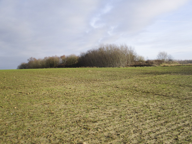 Ligne Maginot - A54 - LILAS - (Blockhaus lourd type STG / STG-FCR - Double) - Situé dans son environnement.
Ce blockhaus a été remblayé et recouvert de broussailles. - Smardz Félix