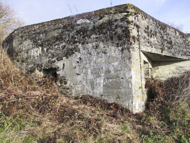 Ligne Maginot - A55 - HORTENSIA - (Blockhaus lourd type STG / STG-FCR - Double) -  - Smardz Félix