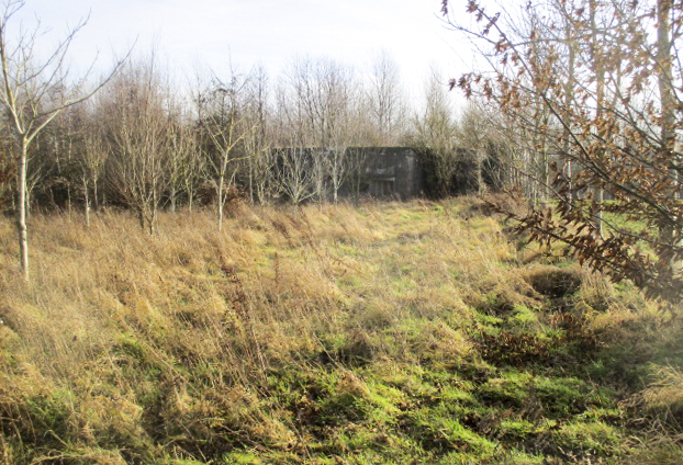 Ligne Maginot - A56 - LE LYS - (Blockhaus lourd type STG / STG-FCR - Double) - Ce blockhaus, situé à proximité d'un bosquet, est visible de la D 50a. - Smardz Félix