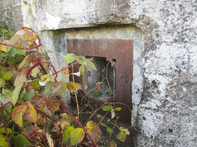 Ligne Maginot - FORT DU MASSY - (Blockhaus pour canon) - Visible du chemin de halage des Mazys. - Smardz Félix