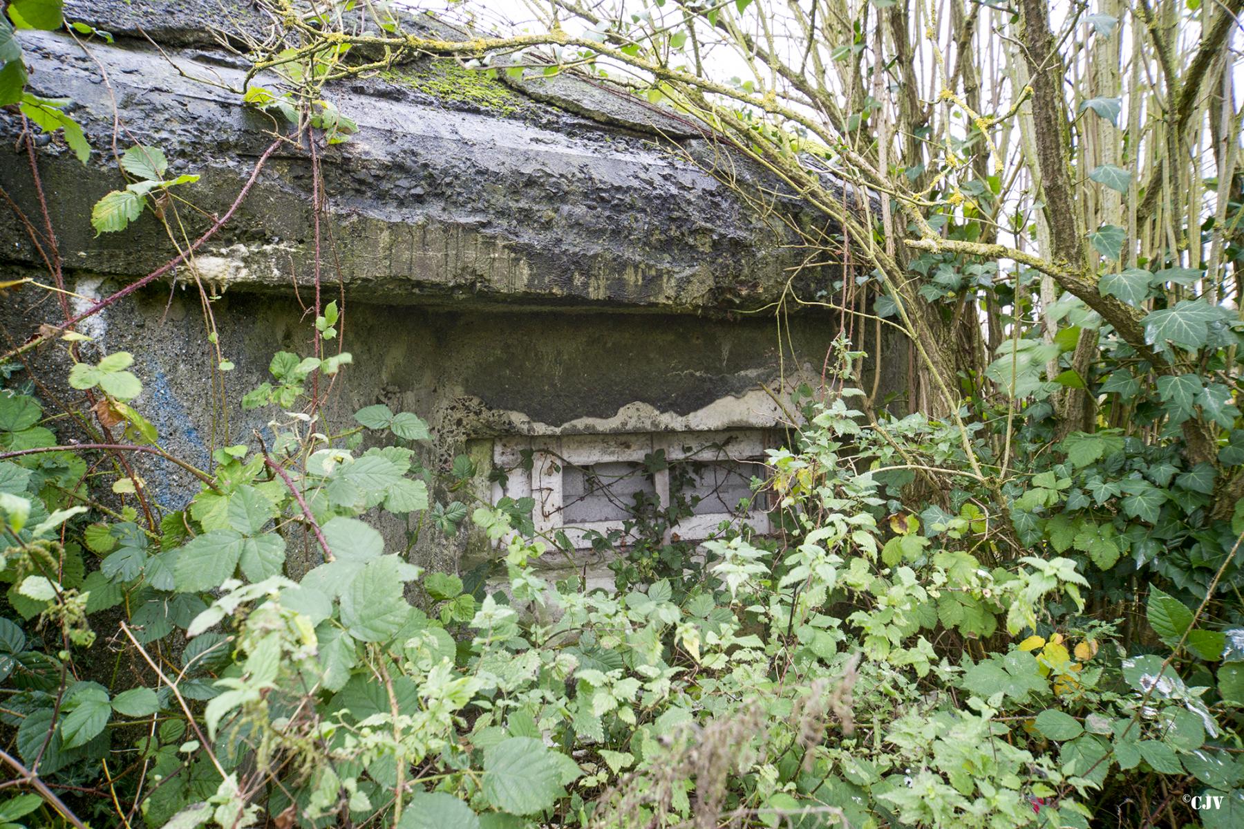 Ligne Maginot - FORT DU MASSY - (Blockhaus pour canon) -  - Lia VERMEULEN